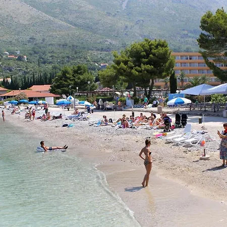 Family Friendly House With A Swimming Pool Mihanici, Dubrovnik - 15367 *